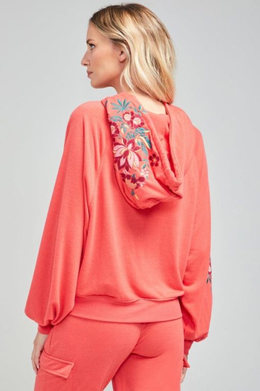 Wmhaitao.shopf5358a63e3 1